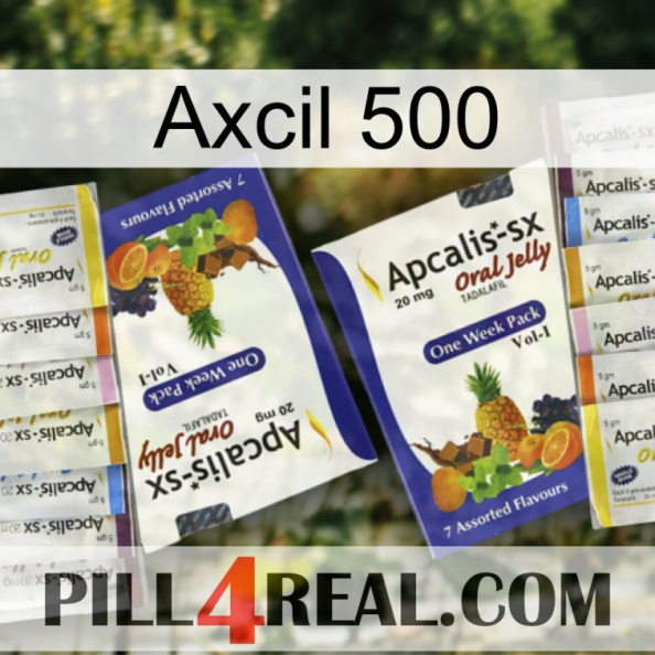 Axcil 500 12.jpg